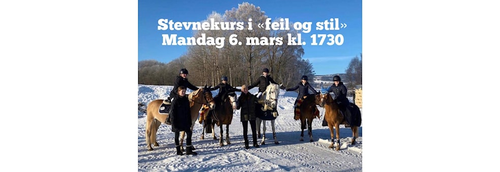 Stevnekurs i "feil og stil"